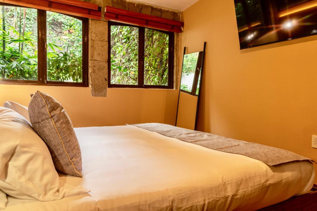 Mi Zona Lodging Coyoacan Mexico City Exterior photo